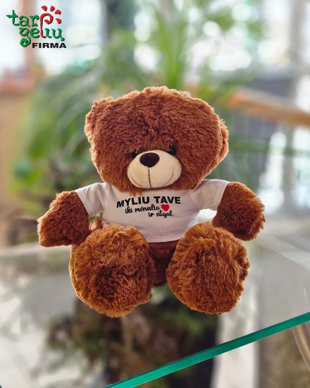 Pliušinis meškiukas