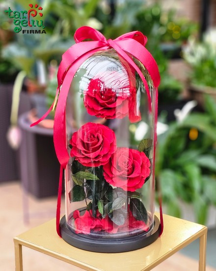 "Miegančios" rožės po gaubtu