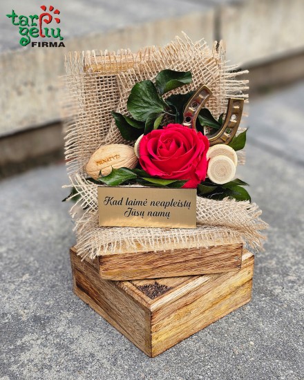 Dovana SĖKMĖS TALISMANAS 