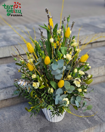 Karališka orchidėja