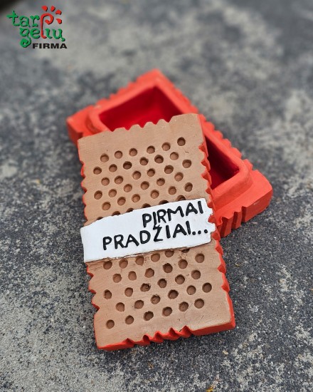 Plyta-vokelis PIRMAI PRADŽIAI PIRMAM BŪSTUI