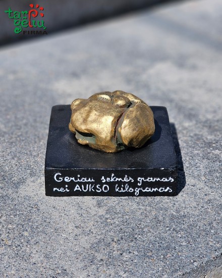 Verslo suvenyras