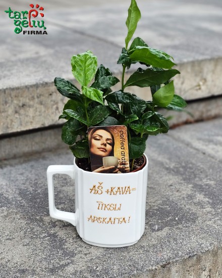 Sidabruotas stalo rinkinys