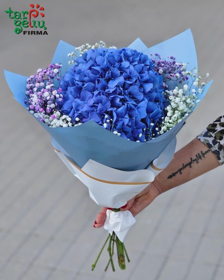 Kompozicija AQUA MARINE
