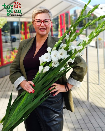 Gladiolė