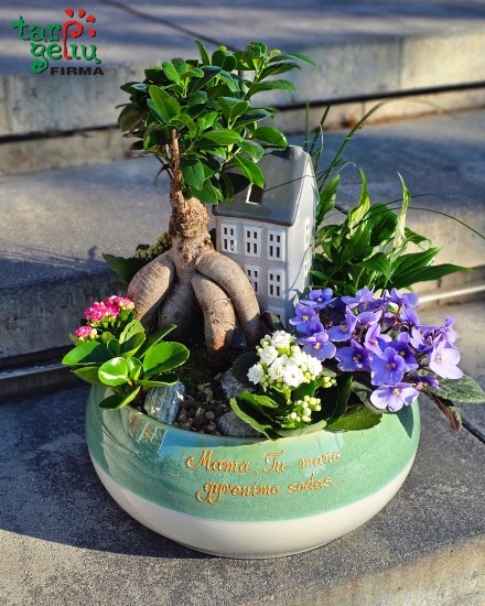 „Mama, Tu mano gyvenimo sodas“