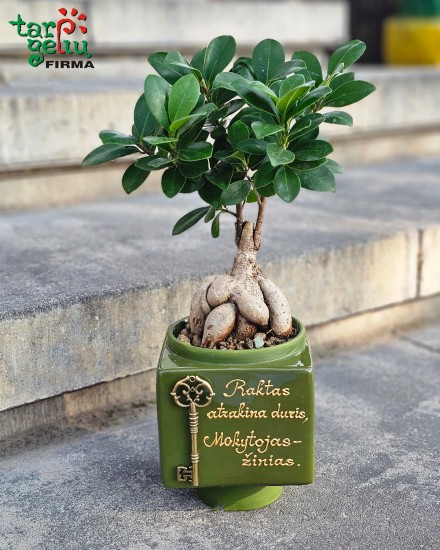 "Raktas atrakina duris, Mokytojas - žinias"