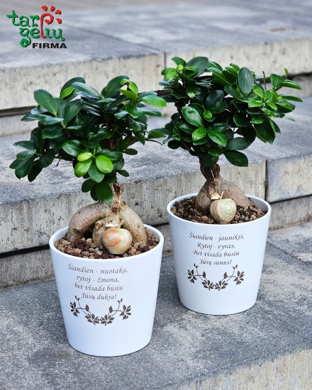 „Priminsi - nepagadinsi“