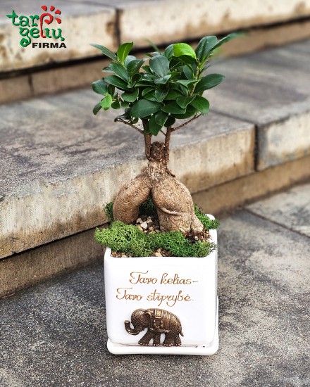 "Tavo kelias - tavo stiprybė"