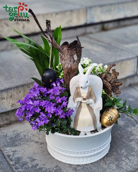 "Dovanoju pavasarį"