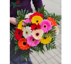 Įvairiaspalvė gerberų puokštė