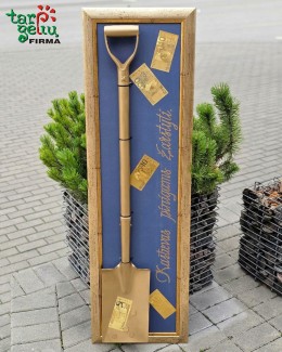 "Kastuvas pinigams žarstyti"