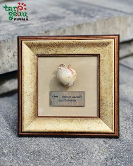 Padėka liudininkams