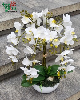 Dirbtinių orchidėjų kompozicija