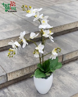 Dirbtinių baltų orchidėjų kompozicija