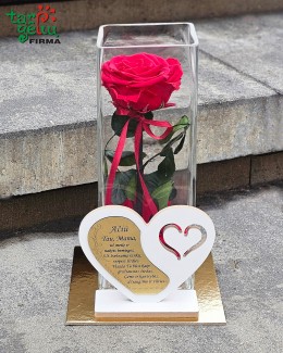 Sveikinimas "Ačiū Tau, Mama"