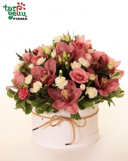 "Orchidėjų žiedai"