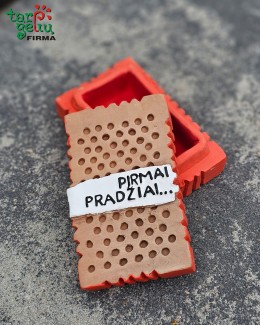 Plyta "Pirmai pradžiai" ar "Pirmam būstui"