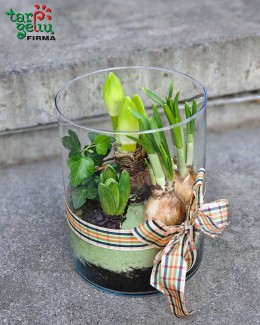 "Pavasario pumpurai"