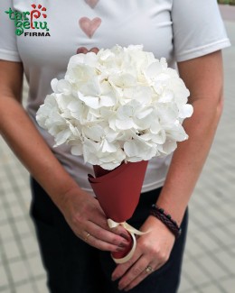 "Vanilinis plombyras"