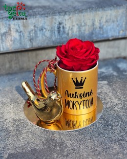 "Auksinė mokytoja"