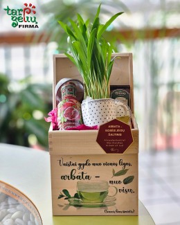 "Bosės poilsio akimirka"