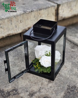 "Ramybės šviesa"