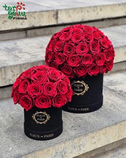 "Fleur de Paris"