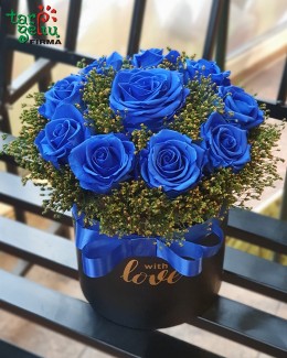Miegančios mėlynos rožės dėžutėje