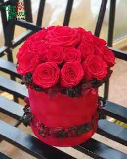 Raudonų miegančių rožių dėžutė "Klasika"