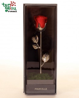 Metalinė rožė su "miegančiu" rožės žiedu