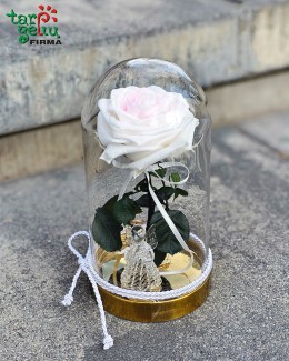 „Ramybės širdyje“