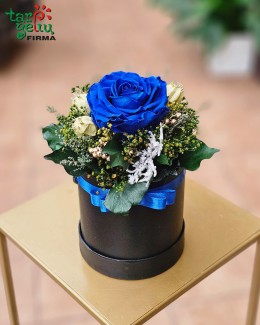 "Miegančioji gražuolė"