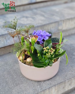 Pavasarinė kompozicija