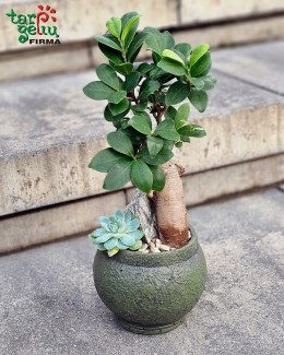 "Gamta su charakteriu"