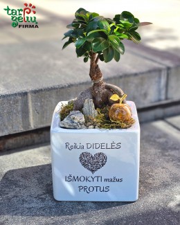 "Reikia didelės širdies išmokyti mažus protus"