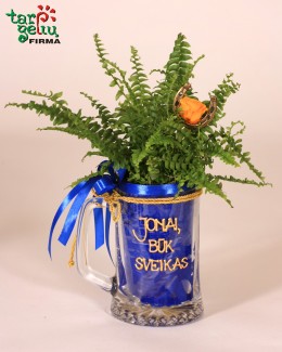 "Jonai, būk sveikas!"