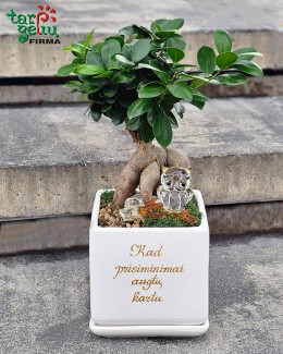"Kad prisiminimai augtų kartu"