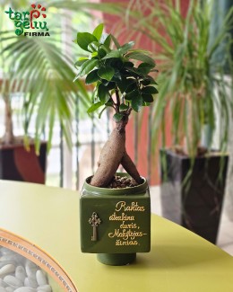 "Raktas atrakina duris, Mokytojas - žinias"