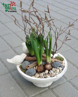 "Bundanti gamta"