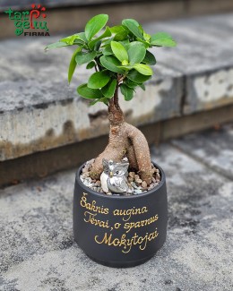 "Šaknis augina Tėvai, o sparnus - Mokytojai"
