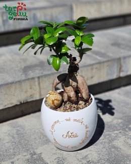 "Nuoširdus ačiū..."