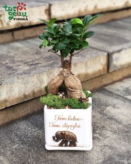 "Tavo kelias - tavo stiprybė"