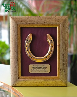 Auksu dengta pasaga - sėkmės simbolis