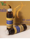Cordyceps Sinensis