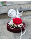 Dovana "Angelas Tau"