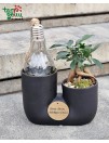 Kompozicija su bonsai ir Led lempa "Geras bosas - kolektyvo šviesa"