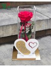 Mieganti rožė stiklo vazoje „Ačiū Tau, Mama“ 