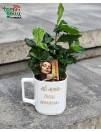 Puodelis ir kavamedis buhalterei "Aš + kava=tiksli apskaita"