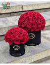 Miegančių rožių dėžutė "Fleur de Paris" 